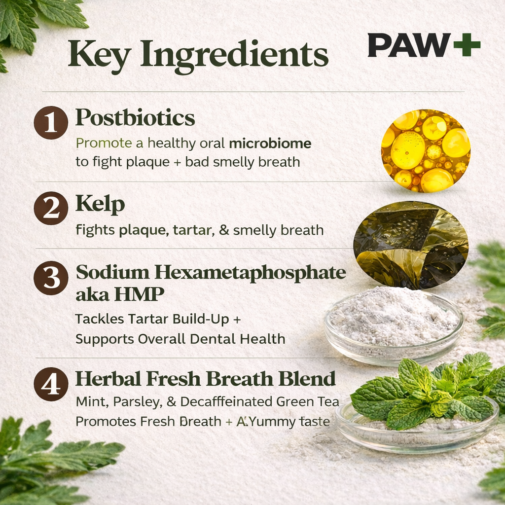 PawPlus ProBright™ Advanced Dental Powder for Dogs