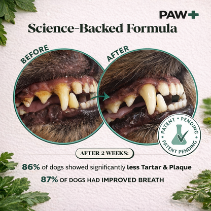 PawPlus ProBright™ Advanced Dental Powder for Dogs