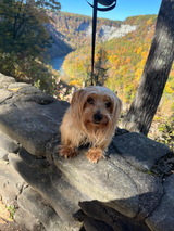 Customer photo from Robert P.